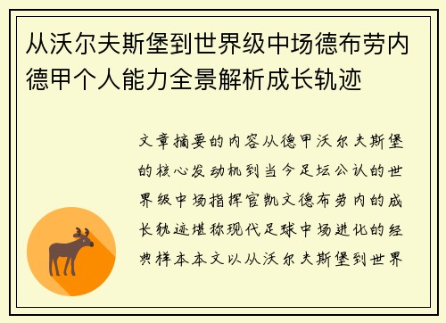从沃尔夫斯堡到世界级中场德布劳内德甲个人能力全景解析成长轨迹