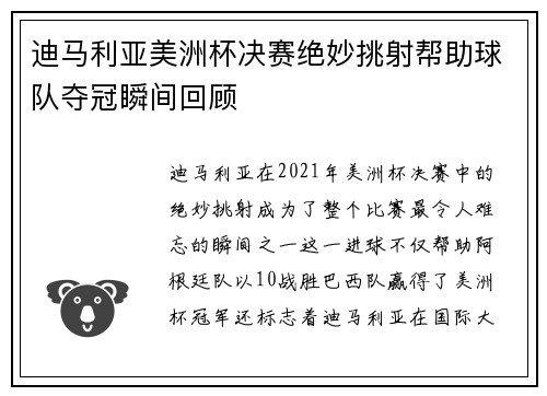迪马利亚美洲杯决赛绝妙挑射帮助球队夺冠瞬间回顾